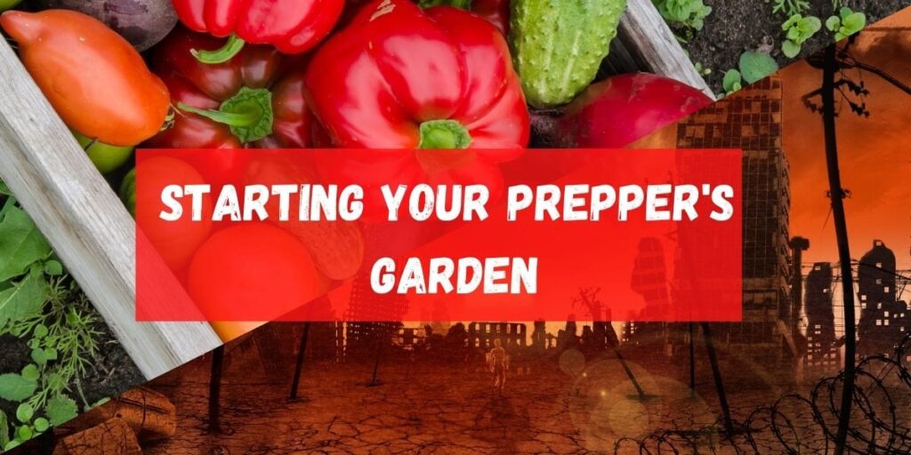Starting Your Preppers Garden Featured Image