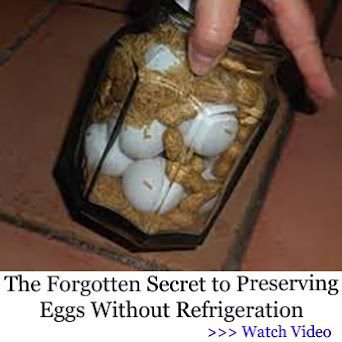 Forgetten Secret Eggs LSF