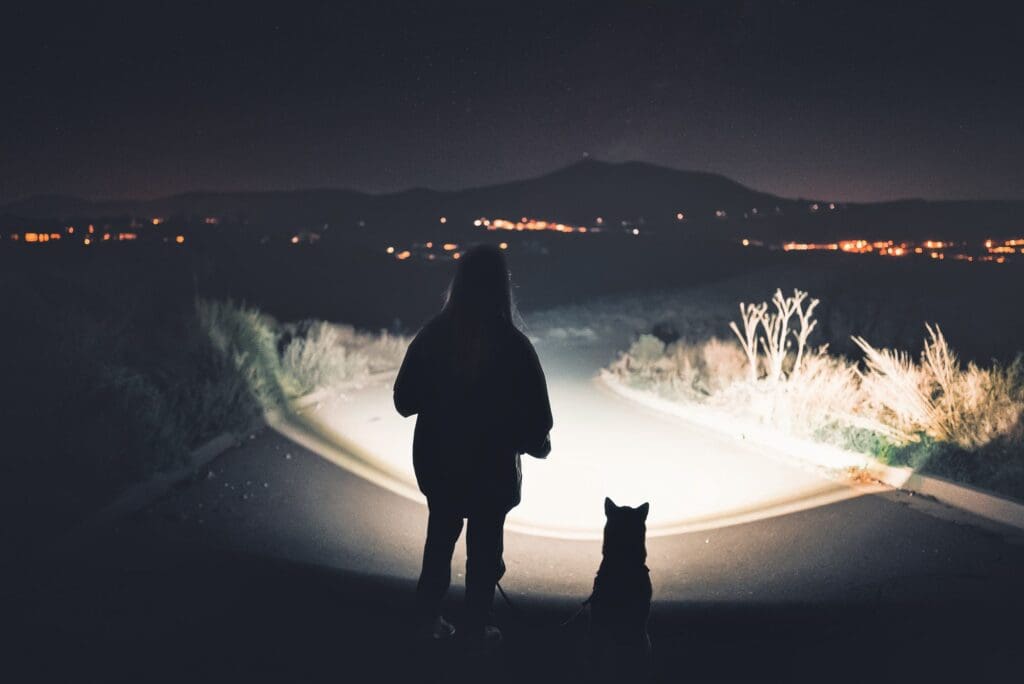 person standing with dog at night with flashlight looking at city view outdoors street nighttime