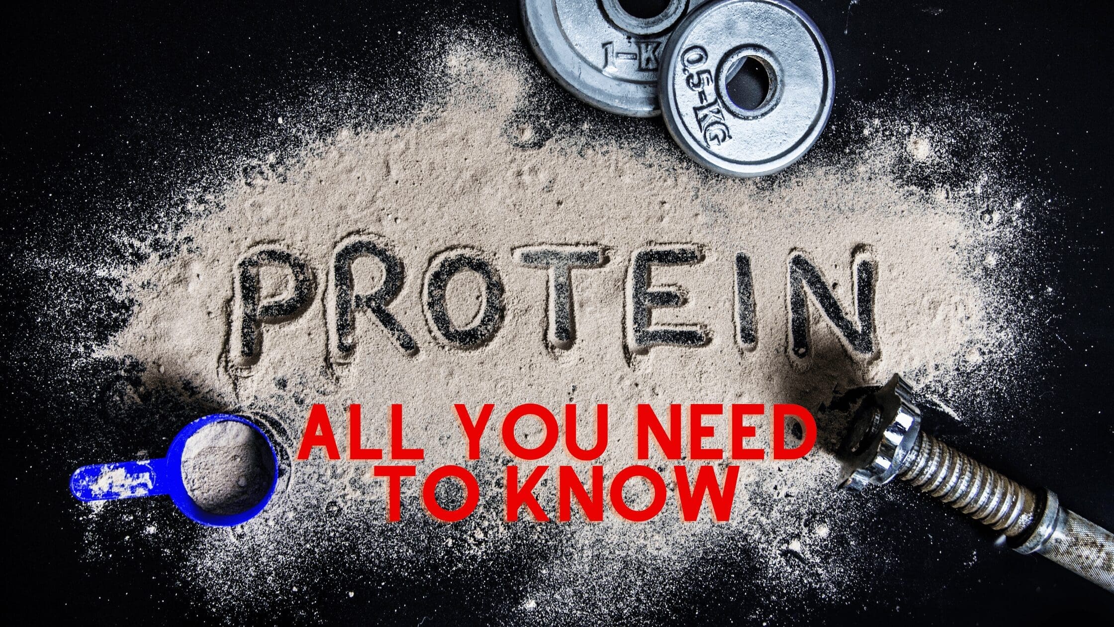 Protein Featured Image