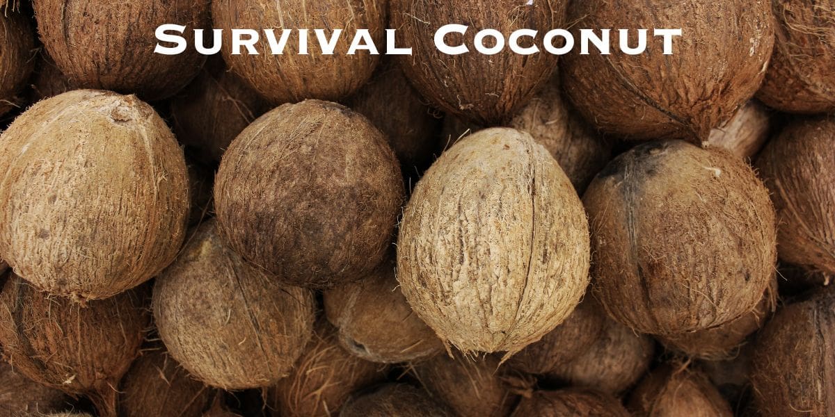 A pile of coconuts with the words survival coconut.