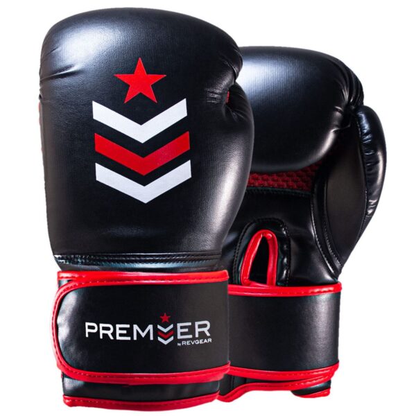 Deluxe boxing gloves, premier deluxe boxing gloves - black/red.