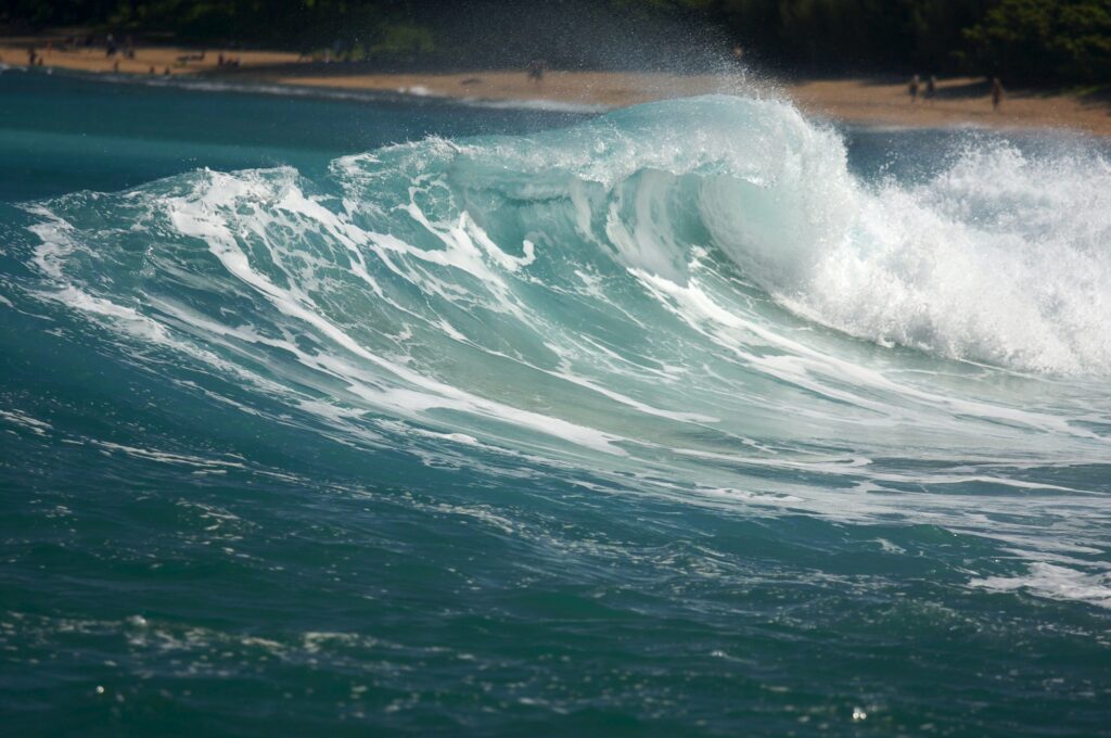 Dramatic Shorebreak Wave