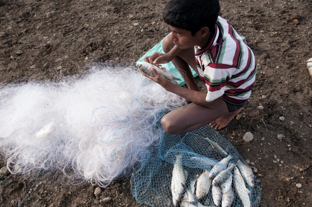 Young Fisherman take fish out of the net in front lake, India.