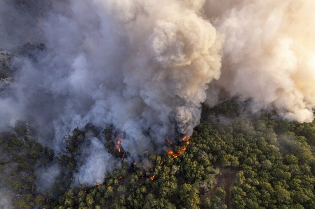 Forest Fires, Natural Disaster