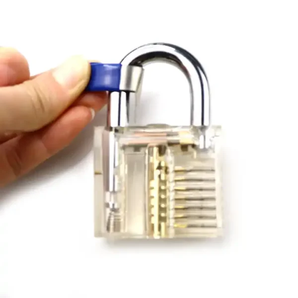 A person holding a padlock with a blue handle.