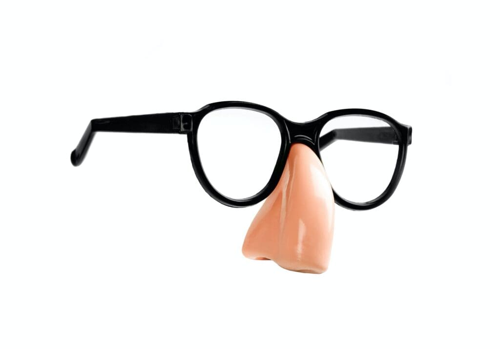 Funny disguise glasses and nose