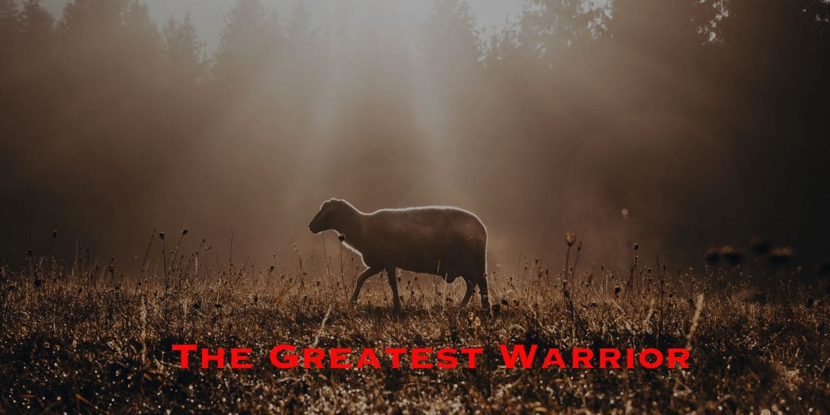 Known as the greatest warrior, a sheep peacefully grazes in a field.