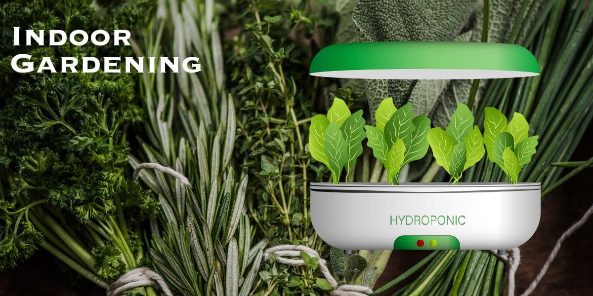 The Hydrosonic indoor gardening system is the ultimate guide to maximizing your aerogarden experience.