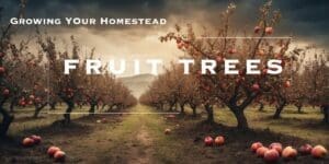 Selecting the perfect spot for your fruit tree is an essential step in growing a successful homestead orchard. By strategically choosing the location, you can ensure your fruit trees thrive and produce abundant harvests