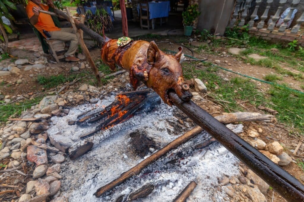 Pig roasted on a fire in the country side
