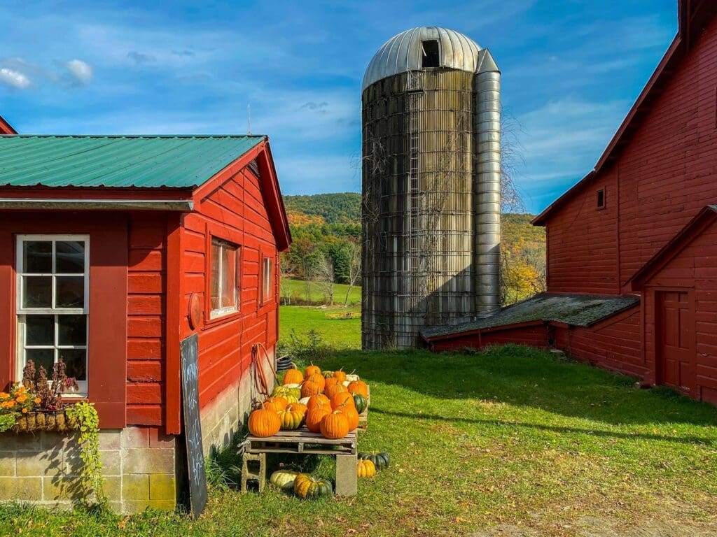 Pumpkins and squash for sale at a rural farm stand.