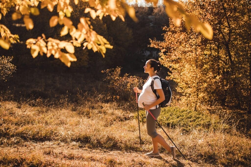 Pregnant woman nordic walking in autumn forest with backpack and trekking sticks.